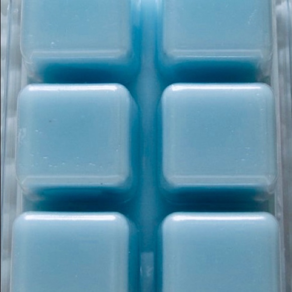 Wax melts- Eucalyptus